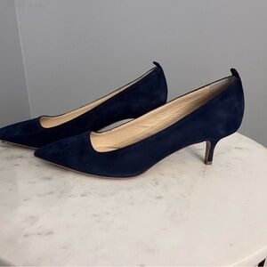 Everlane Navy Suede Kitten Heel